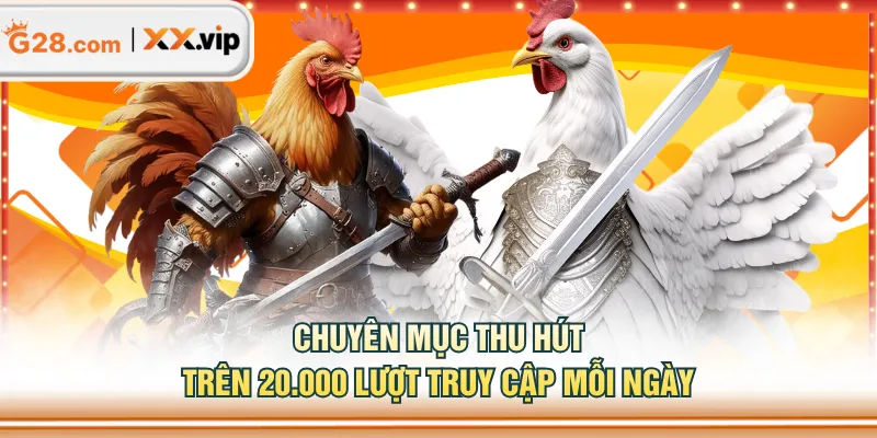 Chuyên mục thu hút trên 20.000 lượt truy cập mỗi ngày