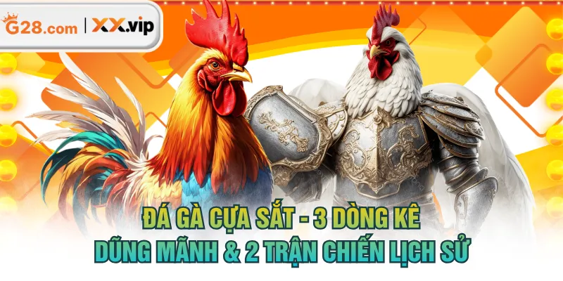 đá gà cựa sắt