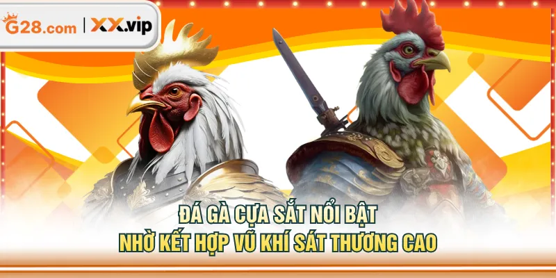 Đá gà cựa sắt nổi bật nhờ kết hợp vũ khí sát thương cao