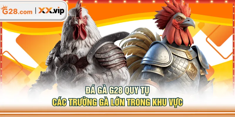 Đá gà G28 quy tụ các trường gà lớn trong khu vực