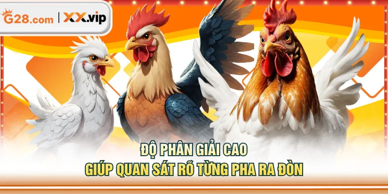 Độ phân giải cao giúp quan sát rõ từng pha ra đòn