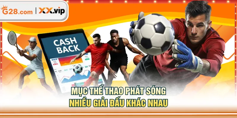 Mục thể thao phát sóng nhiều giải đấu khác nhau